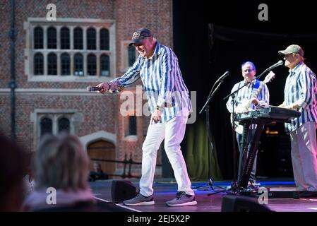 Tim Love of the Beach Boys tritt im Rahmen des Hampton Court Festivals 2018, Hampton Court Palace - London, live auf der Bühne auf. Bilddatum: Freitag, 15th. Juni 2018. Bildnachweis sollte lauten: David Jensen Stockfoto