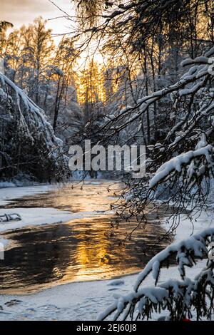 Der wilde gefrorene kleine Fluss im Winterwald, die wilde Natur bei Sonnenuntergang, der Fluss der roten Farbe, Eis, schneebedeckte Bäume Stockfoto