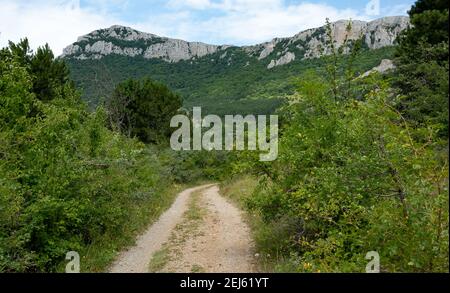 Unzugängliche Felsen umgeben von grünen Wäldern und Sträuchern in heißen Sommern bei klarem sonnigem Wetter. Stockfoto