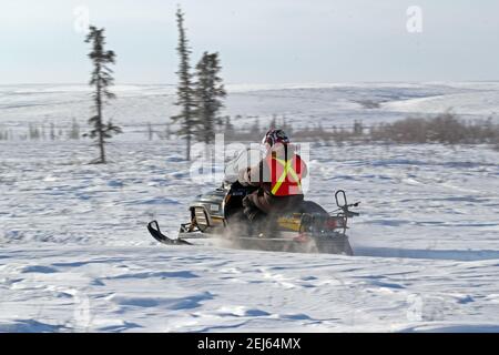 Wildlife Monitor auf dem Schneemobil während des Winterbaus der Inuvik-Tuktoyaktuk Autobahn, Nordwest-Territorien, Kanadas Arktis. Stockfoto