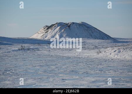 Ein Pingo-Wahrzeichen (Intra-Permafrost-Eishügel) im Winter auf der gefrorenen arktischen Landschaft in der Nähe von Tuktoyaktuk, Northwest Territories, Kanada Stockfoto