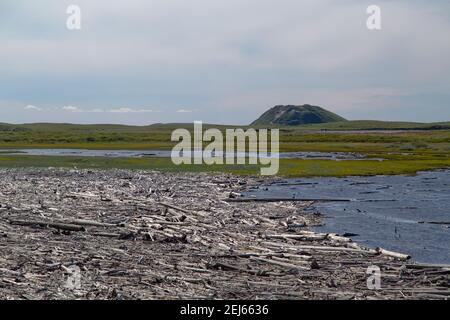 Ein Pingo-Wahrzeichen (Intra-Permafrost-Eishügel) im Sommer auf der arktischen Landschaft außerhalb von Tuktoyaktuk, Nordwest-Territorien, Kanadas Arktis. Stockfoto