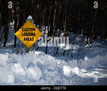 Ein leuchtend gelbes Warnschild auf einer verschneiten Wintereinschlag-Straße, die vor der Holzernte in den Adirondack Mountains, NY USA, warnt Stockfoto