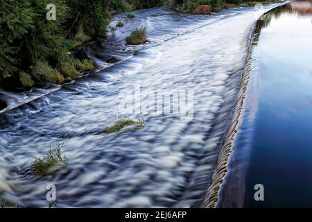 Wehr am Fluss Wharfe bei Otley ist EIN Wehr eine kleine Barriere, die über einen Bach oder Fluss gebaut wurde, um den Wasserstand auf der flussaufwärts gelegenen Seite leicht zu erhöhen. Stockfoto