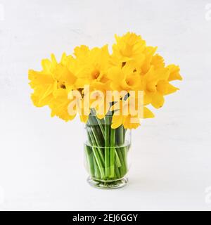 Gelbe Narzissen oder Narzissen-Bouquet in einer Glasvase auf hellem Hintergrund. Feiertagshintergrund, Platz für Text kopieren Stockfoto