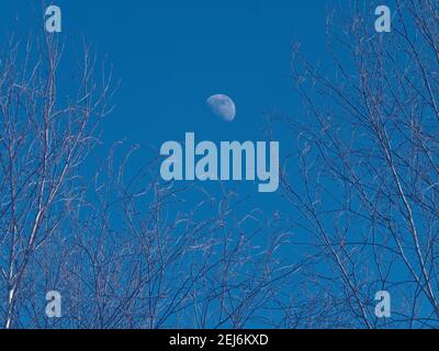 Mond am Himmel am Nachmittag Stockfoto