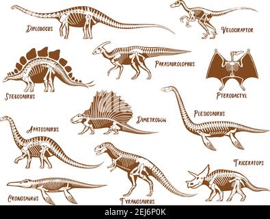 Dinosaurier dekorative Symbole Set mit Beschreibungstext in Hand gezeichnet Darstellung isolierter Vektorgrafiken Stock Vektor