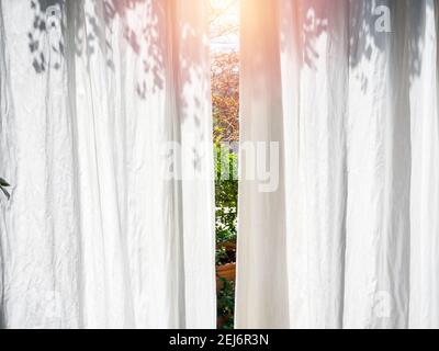 Weißer durchsichtiger Vorhang mit Baumschatten fallen auf sie durch schönes Sonnenlicht von außen mit dem Garten Hintergrund auf der Terrasse am Morgen. Stockfoto