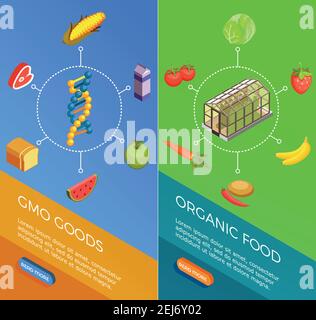 Genetisch veränderte Organismen Satz von vertikalen isometrischen Banner mit gvo Ware und Bio-Lebensmittel isoliert Vektor-Illustration Stock Vektor