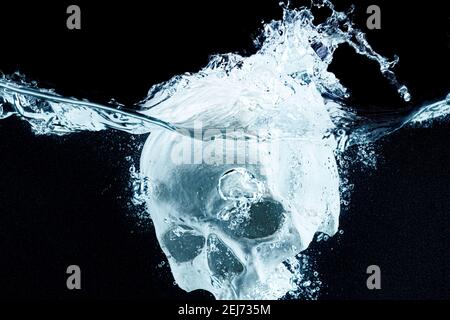 Schädel-Modell, das vor schwarzem Hintergrund ins Wasser taucht Stockfoto