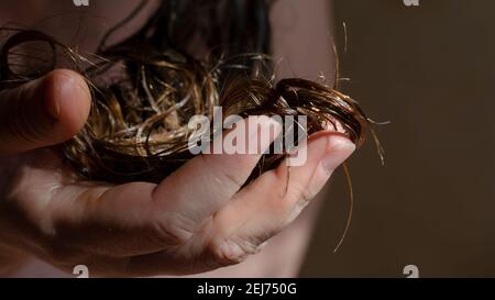 Nahaufnahme der Hand einer erwachsenen Frau, die ihr nasses Haar hält. Lange braune Haare im Sonnenlicht. Selektiver Fokus. Stockfoto