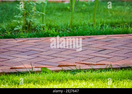 Braune Klinker Pflastersteine für die Verlegung von Wegen im Garten. Deutscher Backstein Stockfoto