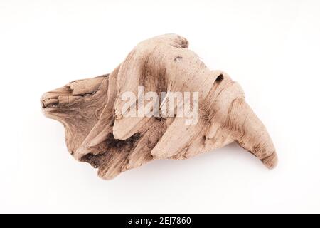 Schönes hölzernes Treibholz auf weißem Hintergrund Stockfoto