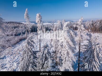 Luftaufnahme der teilweise entwaldeten Landschaft mit Bach, Winterthema. Tschechische Republik, Vysocina Region Hochland Stockfoto