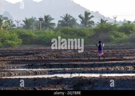South Indian Lady Farmer zu Fuß durch die Seite der gepflügten Feld mit Indianerspaten in der Hand Stockfoto