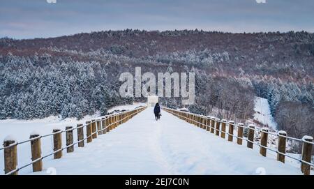 Frau mit ihrem Hund geht entlang Weg über Stausee Damm Im Winter Stockfoto