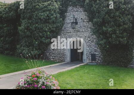 Alte Backsteinmauer mit Efeu und Holztür verschlitzt Stockfoto