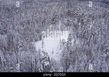 Landschaft mit Winterluft, verschneiten Wäldern und Seen. Foto von der Drohne. Skandinavische Natur, Finnland. Nuxio, ein wolkiger Tag, aß unter dem Schnee. Hochwertige Fotos Stockfoto