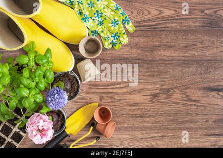 Gartengeräte und Blumen auf Holzhintergrund Draufsicht. Startseite Frühling Gartenarbeit Hobbys. Stockfoto