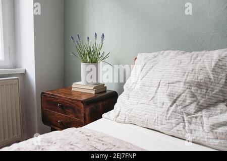 Blick auf das Schlafzimmer in der Nähe. Gestreifte weiße und beige Leinenkissen und -Decke. Holzbett und Nachttisch. Blühende Muscari Pflanze im weißen Blumentopf. Bücher Stockfoto