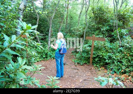 Garden at Cragside Northumberland UK tropischer Look Blick Blick Mädchen blond Rucksack Schild Walker Pflanzen grüne Bäume Busch Busch Jeans blau Stockfoto