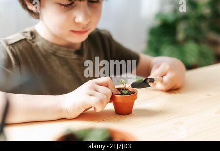 Kinder Gärtner Topfpflanze Stockfoto