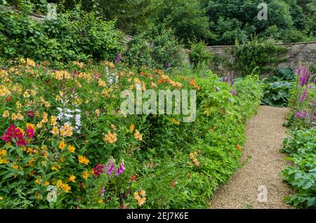 Gärten im Rousham House, Oxfordshire, Großbritannien; Schotterweg, der durch eine bunte krautige Grenze führt. Stockfoto