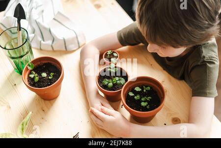 Kinder Gärtner Topfpflanze Stockfoto