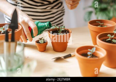 Frau Gärtner Dünger Pflanze Stockfoto