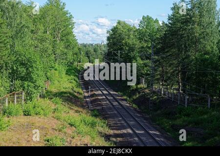 Eisenbahnstrecke im Wald an einem hellen sonnigen Sommertag. Stockfoto