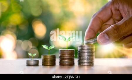 Menschliche Hände, die Münzen und Pflanzen halten, die auf dem Münzstapel finanzieller Ideen und des Unternehmenswachstums sprießen. Stockfoto