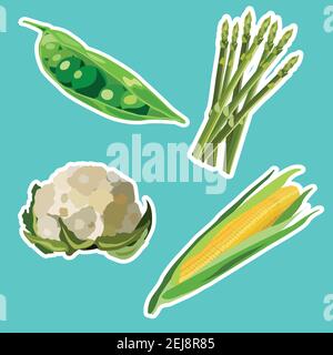 Vektor-Set von flachen Cartoon Gemüse Aufkleber. Vektorhintergrund. Flaches Symbol. Vegetarischer Aufkleber. Aufkleber für gesunde Lebensmittel Stock Vektor