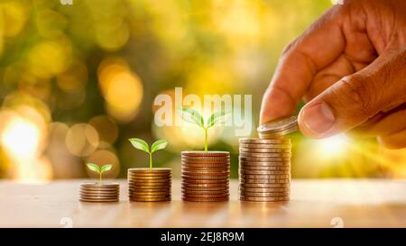 Menschliche Hände, die Münzen und Pflanzen halten, die auf dem Münzstapel finanzieller Ideen und des Unternehmenswachstums sprießen. Stockfoto