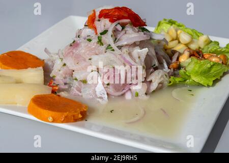 Traditionelle peruanische Ceviche Meeresfrüchte Gericht aus frischem rohem Fisch In frischen Zitrusfrüchten und gehackten Zwiebeln ausgehärtet Stockfoto