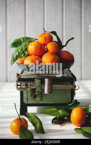 Mandarinen mit Blättern auf einer alten grünen Skala und weißem Hintergrund. Stockfoto
