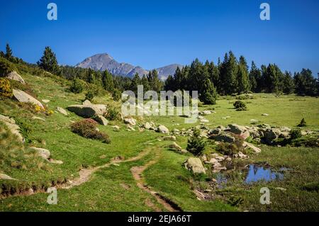 Carlit Lakes, Les Bouillouses, im Sommer (Pyrenees Orientales, Frankreich) ESP: Lagos del Carlit, en las Bullosas, en verano (Pirineos, Francia) Stockfoto