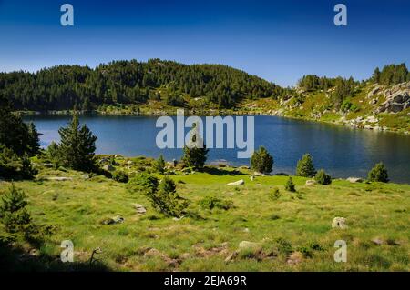 Carlit Lakes, Les Bouillouses, im Sommer (Pyrenees Orientales, Frankreich) ESP: Lagos del Carlit, en las Bullosas, en verano (Pirineos, Francia) Stockfoto