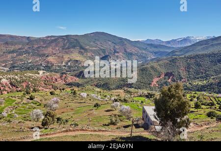 Kasbah Dorf bei Tinerhir an der Straße zu den Gorges du Dades, Marokko Stockfoto