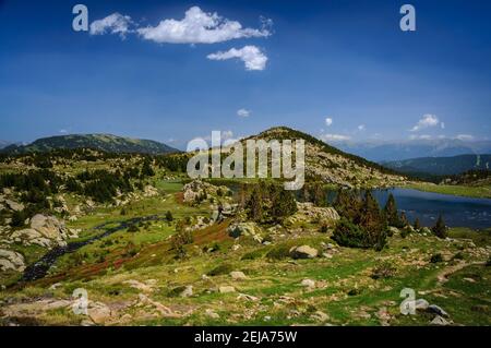 Carlit Lakes, Les Bouillouses, im Sommer (Pyrenees Orientales, Frankreich) ESP: Lagos del Carlit, en las Bullosas, en verano (Francia) Stockfoto