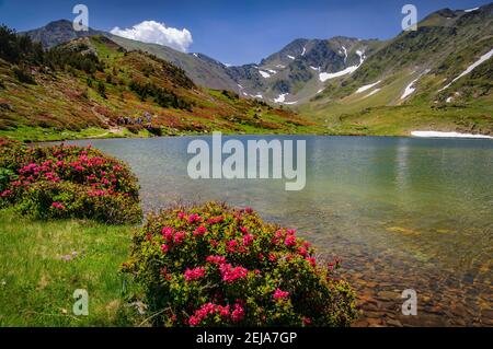 Carlit Lakes, Les Bouillouses, im Sommer. Im Hintergrund der Carlit-Gipfel (Pyrenees Orientales, Frankreich) Stockfoto