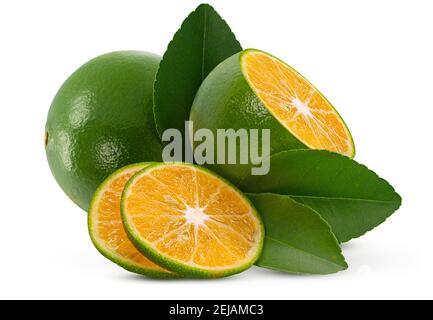 Calamansi oder Grüne orange Früchte isoliert auf weißem Hintergrund Stockfoto