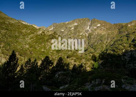 Mont-roig Gipfelblick vom Zufahrtsweg durch das Tal (Naturpark Alt Pirineu, Pyrenäen, Katalonien, Spanien) Stockfoto