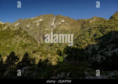 Mont-roig Gipfelblick vom Zufahrtsweg durch das Tal (Naturpark Alt Pirineu, Pyrenäen, Katalonien, Spanien) Stockfoto