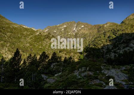 Mont-roig Gipfelblick vom Zufahrtsweg durch das Tal (Naturpark Alt Pirineu, Pyrenäen, Katalonien, Spanien) Stockfoto