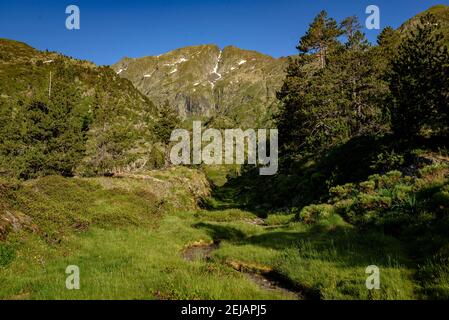 Mont-roig Gipfelblick vom Zufahrtsweg durch das Tal (Naturpark Alt Pirineu, Pyrenäen, Katalonien, Spanien) Stockfoto