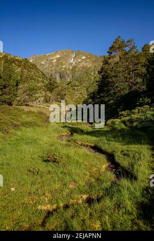 Mont-roig Gipfelblick vom Zufahrtsweg durch das Tal (Naturpark Alt Pirineu, Pyrenäen, Katalonien, Spanien) Stockfoto