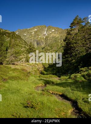 Mont-roig Gipfelblick vom Zufahrtsweg durch das Tal (Naturpark Alt Pirineu, Pyrenäen, Katalonien, Spanien) Stockfoto