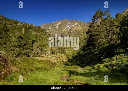 Mont-roig Gipfelblick vom Zufahrtsweg durch das Tal (Naturpark Alt Pirineu, Pyrenäen, Katalonien, Spanien) Stockfoto