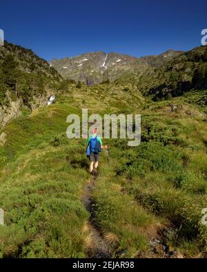 Mont-roig Gipfelblick vom Zufahrtsweg durch das Tal (Naturpark Alt Pirineu, Pyrenäen, Katalonien, Spanien) Stockfoto