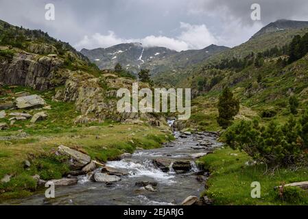 Mont-roig Gipfelblick vom Zufahrtsweg durch das Tal (Naturpark Alt Pirineu, Pyrenäen, Katalonien, Spanien) Stockfoto